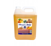 Жидкое мыло антибактериальное Mr.Green 5 л (апельсин и корица), арт. 40792